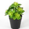 Artificial succulent 13*13*18cm Succulent in pe pot GS-51721115 Succulent YeahFlower is one of Chinese leading OEM manufacturers and exporters , supplying the silk flowers, wholesale artificial trees
