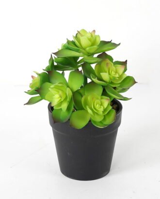 Artificial succulent 13*13*18cm Succulent in pe pot GS-51721115 Succulent YeahFlower is one of Chinese leading OEM manufacturers and exporters , supplying the silk flowers, wholesale artificial trees