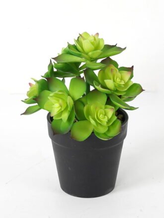 Artificial succulent 12*11*17cm Succulent in pe pot GS-51721116 Succulent 3,000+ sqm showroom with thousands of artificial flowers, plants & trees ready for global sourcing.
