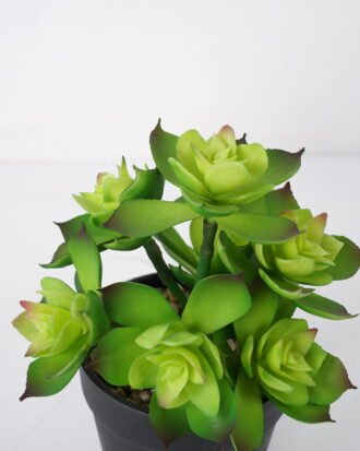 Artificial succulent 13*13*18cm Succulent in pe pot GS-51721115 Succulent YeahFlower is one of Chinese leading OEM manufacturers and exporters , supplying the silk flowers, wholesale artificial trees