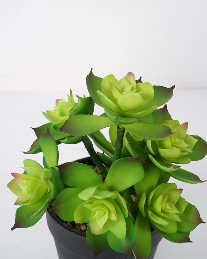 Artificial succulent 13*13*18cm Succulent in pe pot GS-51721115 Succulent YeahFlower is one of Chinese leading OEM manufacturers and exporters , supplying the silk flowers, wholesale artificial trees