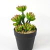 Artificial succulent 12*11*17cm Succulent in pe pot GS-51721116 Succulent YeahFlower is one of Chinese leading OEM manufacturers and exporters , supplying the silk flowers, wholesale artificial trees