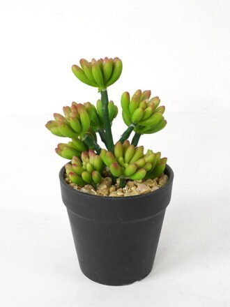 Artificial succulent 12*12*18cm Succulent in pe pot GS-51721107 Succulent 3,000+ sqm showroom with thousands of artificial flowers, plants & trees ready for global sourcing.