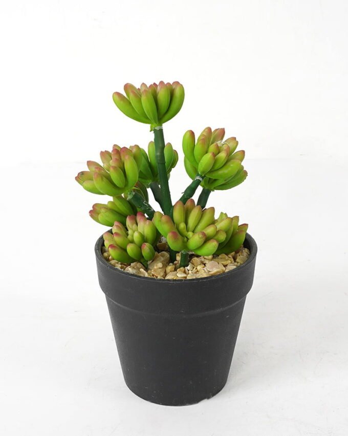 Artificial succulent 12*11*17cm Succulent in pe pot GS-51721116 Succulent YeahFlower is one of Chinese leading OEM manufacturers and exporters , supplying the silk flowers, wholesale artificial trees
