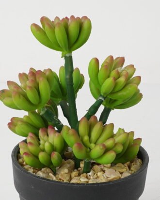 Artificial succulent 12*11*17cm Succulent in pe pot GS-51721116 Succulent YeahFlower is one of Chinese leading OEM manufacturers and exporters , supplying the silk flowers, wholesale artificial trees