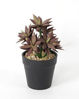 Artificial succulent 12*12*18cm Succulent in pe pot GS-51721117 Succulent YeahFlower is one of Chinese leading OEM manufacturers and exporters , supplying the silk flowers, wholesale artificial trees