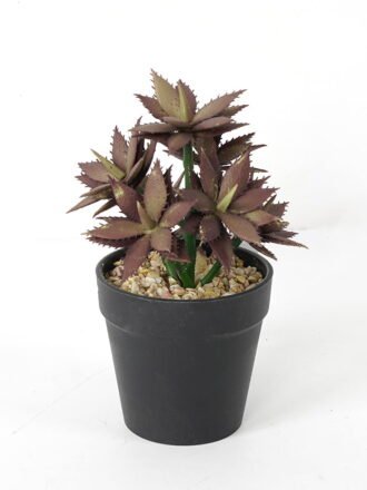 Artificial succulent 6*11*9cm Succulent in ceramic pot GS-51721139 Succulent 3,000+ sqm showroom with thousands of artificial flowers, plants & trees ready for global sourcing.
