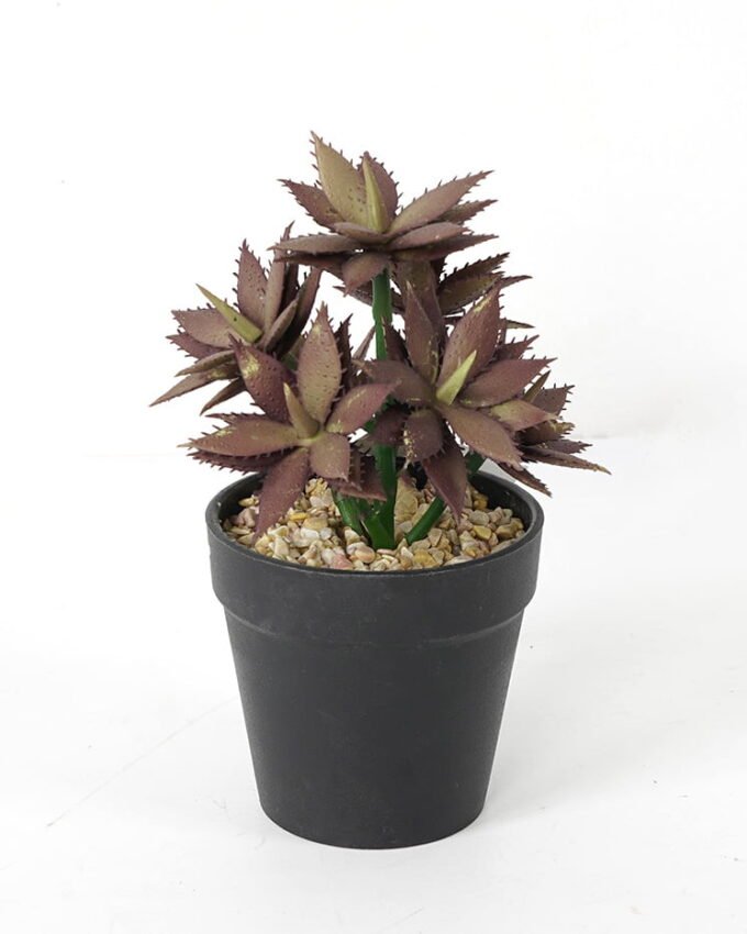 Artificial succulent 12*12*18cm Succulent in pe pot GS-51721117 Succulent YeahFlower is one of Chinese leading OEM manufacturers and exporters , supplying the silk flowers, wholesale artificial trees