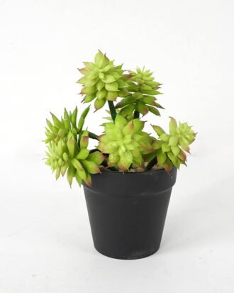Artificial succulent 14*13*18cm Succulent in pe pot GS-51721118 Succulent YeahFlower is one of Chinese leading OEM manufacturers and exporters , supplying the silk flowers, wholesale artificial trees