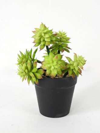 Artificial succulent 12*12*18cm Succulent in pe pot GS-51721117 Succulent 3,000+ sqm showroom with thousands of artificial flowers, plants & trees ready for global sourcing.