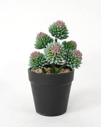Artificial succulent 11*11*17cm Succulent in pe pot GS-51721119 Succulent YeahFlower is one of Chinese leading OEM manufacturers and exporters , supplying the silk flowers, wholesale artificial trees
