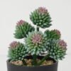 Artificial succulent 11*11*17cm Succulent in pe pot GS-51721119 Succulent YeahFlower is one of Chinese leading OEM manufacturers and exporters , supplying the silk flowers, wholesale artificial trees