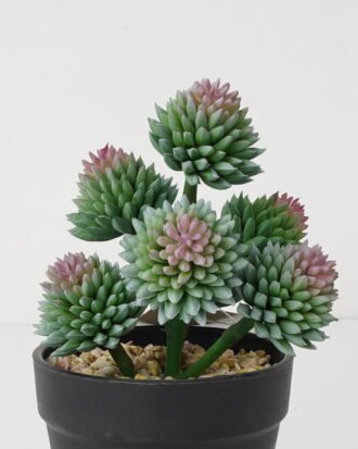 Artificial succulent 11*11*17cm Succulent in pe pot GS-51721119 Succulent YeahFlower is one of Chinese leading OEM manufacturers and exporters , supplying the silk flowers, wholesale artificial trees