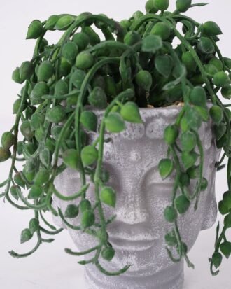 Artificial succulent 10*10*14cm Succulent in pp pot GS-51721120 Succulent YeahFlower is one of Chinese leading OEM manufacturers and exporters , supplying the silk flowers, wholesale artificial trees