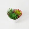 Artificial succulent 10*12*9cm Succulent in pp pot GS-51721135 Succulent YeahFlower is one of Chinese leading OEM manufacturers and exporters , supplying the silk flowers, wholesale artificial trees