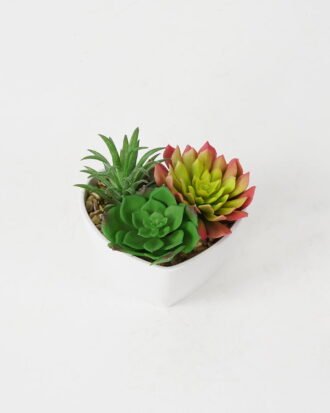 Artificial succulent 10*12*9cm Succulent in pp pot GS-51721135 Succulent YeahFlower is one of Chinese leading OEM manufacturers and exporters , supplying the silk flowers, wholesale artificial trees
