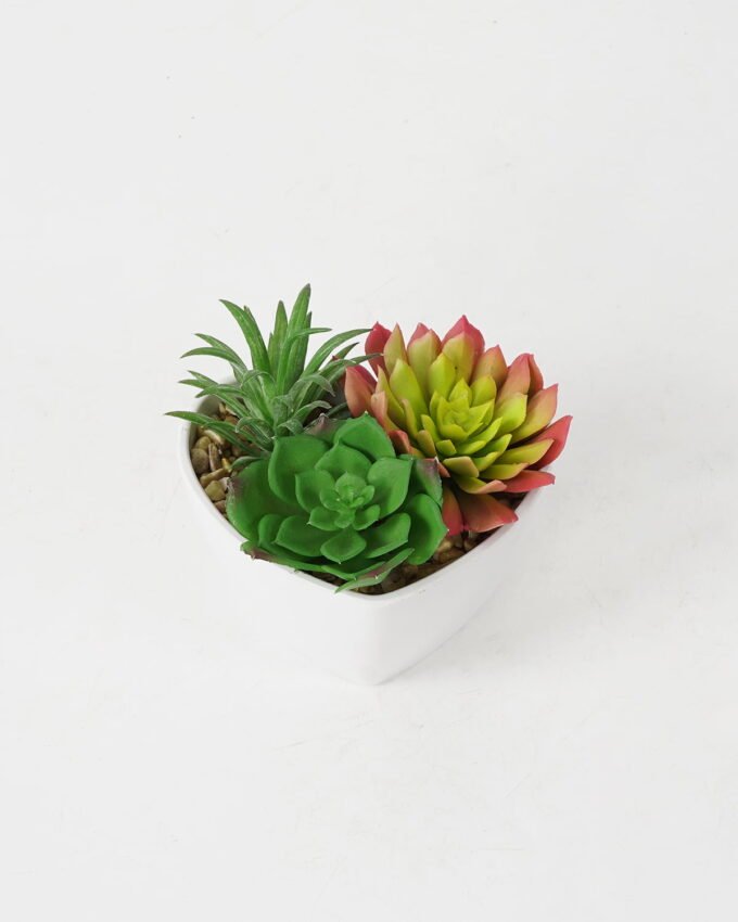 Artificial succulent 10*12*9cm Succulent in pp pot GS-51721135 Succulent YeahFlower is one of Chinese leading OEM manufacturers and exporters , supplying the silk flowers, wholesale artificial trees