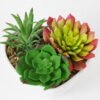 Artificial succulent 10*12*9cm Succulent in pp pot GS-51721135 Succulent YeahFlower is one of Chinese leading OEM manufacturers and exporters , supplying the silk flowers, wholesale artificial trees