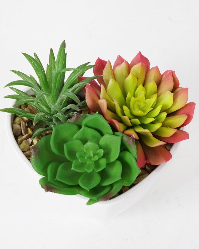 Artificial succulent 10*12*9cm Succulent in pp pot GS-51721135 Succulent YeahFlower is one of Chinese leading OEM manufacturers and exporters , supplying the silk flowers, wholesale artificial trees