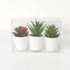Artificial succulent Succulent plant pp pot in pvc box GS-05521193 Artificial succulent 18*6*12cm Succulent plant pp pot in pvc box GS-05521193 Succulent YeahFlower is one of Chinese leading OEM manufacturers and exporters , supplying the silk flowers, wholesale artificial trees