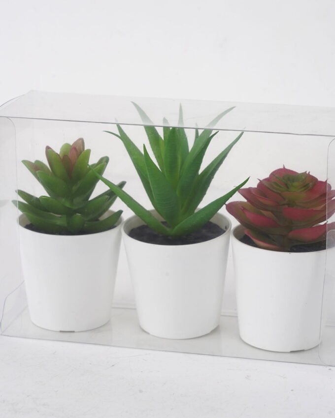 Artificial succulent Succulent plant pp pot in pvc box GS-05521193_1 Artificial succulent 18*6*12cm Succulent plant pp pot in pvc box GS-05521193 Succulent YeahFlower is one of Chinese leading OEM manufacturers and exporters , supplying the silk flowers, wholesale artificial trees
