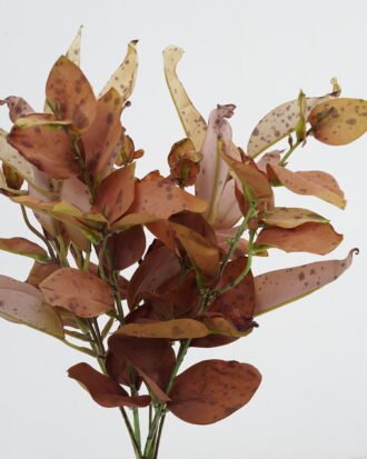 Artificial Flower 20*38cm Eucalyptus leaves Bouquet*5 GS-49621021-Y1 Bouquet YeahFlower is one of Chinese leading OEM manufacturers and exporters , supplying the silk flowers, wholesale artificial trees