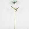 Artificial Flower 9*61cm SINGLE ROSE GS-15421036-B1 Single Flowers YeahFlower is one of Chinese leading OEM manufacturers and exporters , supplying the silk flowers, wholesale artificial trees
