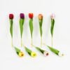 Artificial Flower 6*39cm Tulip Single stem GS-128J21010 Single Flowers YeahFlower is one of Chinese leading OEM manufacturers and exporters , supplying the silk flowers, wholesale artificial trees