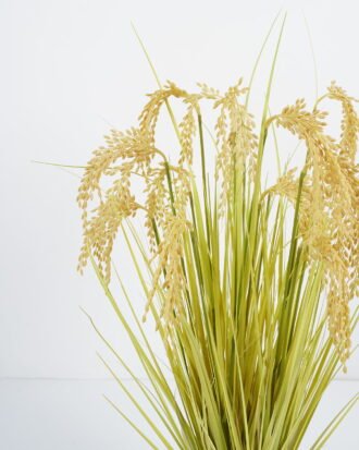 Artificial Grass 81cm paddy in pp pot GS-61921034 Grass&PLANT YeahFlower is one of Chinese leading OEM manufacturers and exporters , supplying the silk flowers, wholesale artificial trees Artificial Grass 81cm paddy in pp pot GS-61921034 Grass&PLANT YeahFlower is one of Chinese leading OEM manufacturers and exporters , supplying the silk flowers, wholesale artificial trees