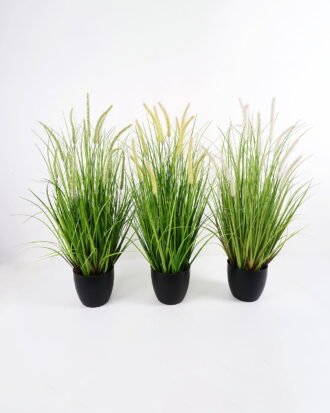 Artificial Grass 56*56*89cm Grass in pe pot GS-61921049 Grass&PLANT YeahFlower is one of Chinese leading OEM manufacturers and exporters , supplying the silk flowers, wholesale artificial trees Artificial Grass 56*56*89cm Grass in pe pot GS-61921049 Grass&PLANT YeahFlower is one of Chinese leading OEM manufacturers and exporters , supplying the silk flowers, wholesale artificial trees