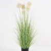Artificial Grass 55*55*91cm Small dandelion in pe pot GS-61921046 Grass&PLANT YeahFlower is one of Chinese leading OEM manufacturers and exporters , supplying the silk flowers, wholesale artificial trees