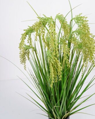 Artificial Grass 56*56*81cm paddy in pp pot GS-61921034A Grass&PLANT YeahFlower is one of Chinese leading OEM manufacturers and exporters , supplying the silk flowers, wholesale artificial trees Artificial Grass 56*56*81cm paddy in pp pot GS-61921034A Grass&PLANT YeahFlower is one of Chinese leading OEM manufacturers and exporters , supplying the silk flowers, wholesale artificial trees