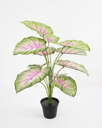 Artificial Plant Aladium bicolor potted,47*47*60cm, 12 lvs GS-03321176 Potted Flowers&Plants YeahFlower is one of Chinese leading OEM manufacturers and exporters , supplying the silk flowers, wholesale artificial trees