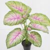 Artificial Plant Aladium bicolor potted,47*47*60cm, 12 lvs GS-03321176 Potted Flowers&Plants YeahFlower is one of Chinese leading OEM manufacturers and exporters , supplying the silk flowers, wholesale artificial trees