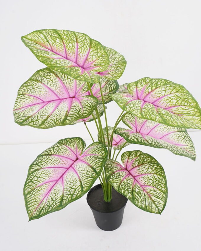 Artificial Plant Aladium bicolor potted,47*47*60cm, 12 lvs GS-03321176 Potted Flowers&Plants YeahFlower is one of Chinese leading OEM manufacturers and exporters , supplying the silk flowers, wholesale artificial trees