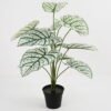 Artificial Plant Aladium bicolor potted,47*47*60cm, 12 lvs GS-03321177 Potted Flowers&Plants YeahFlower is one of Chinese leading OEM manufacturers and exporters , supplying the silk flowers, wholesale artificial trees