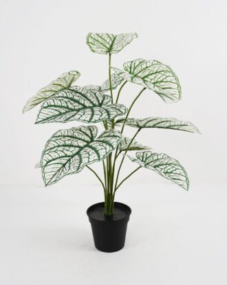 Artificial Plant Aladium bicolor potted,47*47*60cm, 12 lvs GS-03321177 Potted Flowers&Plants YeahFlower is one of Chinese leading OEM manufacturers and exporters , supplying the silk flowers, wholesale artificial trees