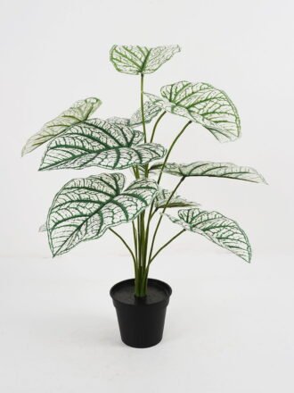 Artificial Plant Aladium bicolor potted,47*47*60cm, 12 lvs GS-03321176 Potted Flowers&Plants 3,000+ sqm showroom with thousands of artificial flowers, plants & trees ready for global sourcing.