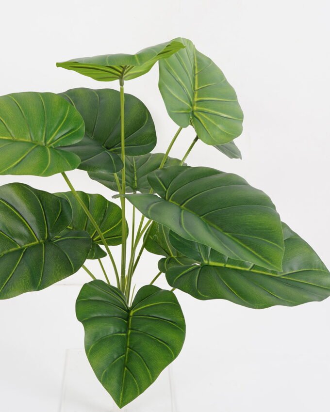 Artificial Plant 60*60cm Alocasia Bush*12 GS-66421003 Leaves&Sprays&Foliages YeahFlower is one of Chinese leading OEM manufacturers and exporters , supplying the silk flowers, wholesale artificial trees