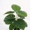 Artificial Plant Alocasia potted,47*47*60cm, 12 lvs GS-03321182 Potted Flowers&Plants YeahFlower is one of Chinese leading OEM manufacturers and exporters , supplying the silk flowers, wholesale artificial trees