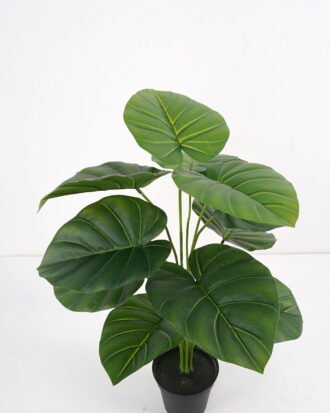 Artificial Plant Alocasia potted,47*47*60cm, 12 lvs GS-03321182 Potted Flowers&Plants YeahFlower is one of Chinese leading OEM manufacturers and exporters , supplying the silk flowers, wholesale artificial trees