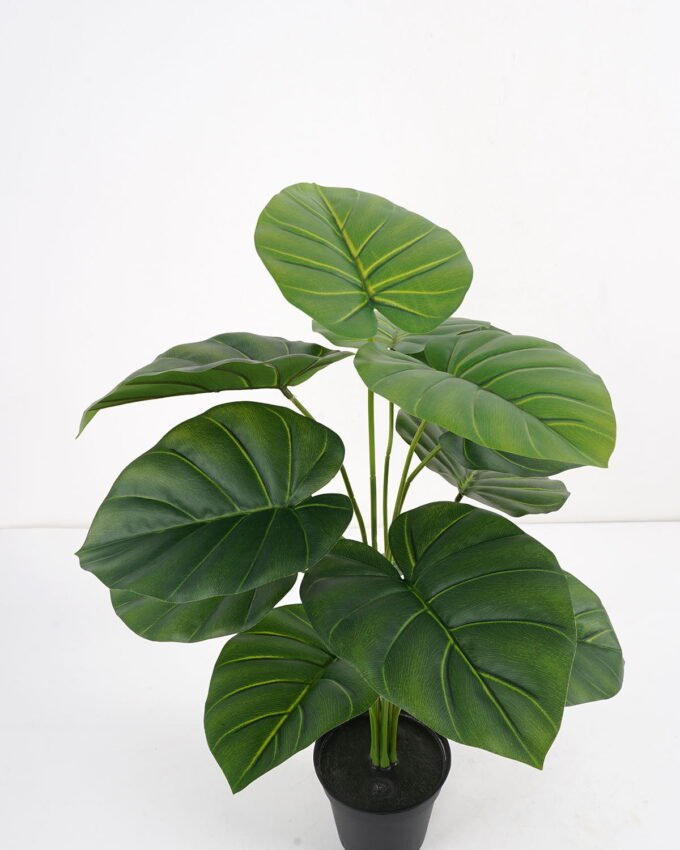 Artificial Plant Alocasia potted,47*47*60cm, 12 lvs GS-03321182 Potted Flowers&Plants YeahFlower is one of Chinese leading OEM manufacturers and exporters , supplying the silk flowers, wholesale artificial trees