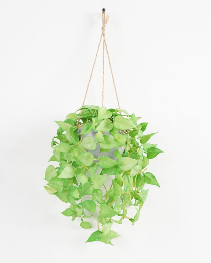 Artificial Plant 22*52cm Anthurium Leaves in melamine pot GS-47121004 Banners&Garlands YeahFlower is one of Chinese leading OEM manufacturers and exporters , supplying the silk flowers, wholesale artificial trees