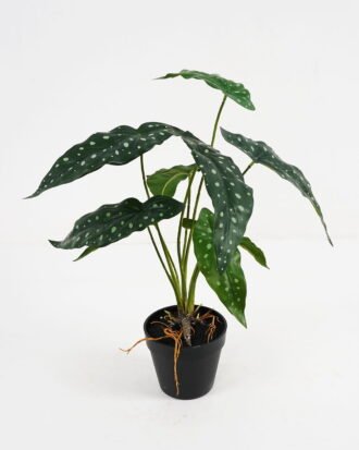 Artificial Plant 37*37*39cm Begonia in pe pot /9lvs GS-46721006 Potted Flowers&Plants YeahFlower is one of Chinese leading OEM manufacturers and exporters , supplying the silk flowers, wholesale artificial trees