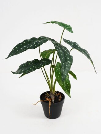 Artificial Plant 39*39*46cm Calathea ornata in pe pot /9lvs GS-46721005 Potted Flowers&Plants 3,000+ sqm showroom with thousands of artificial flowers, plants & trees ready for global sourcing.