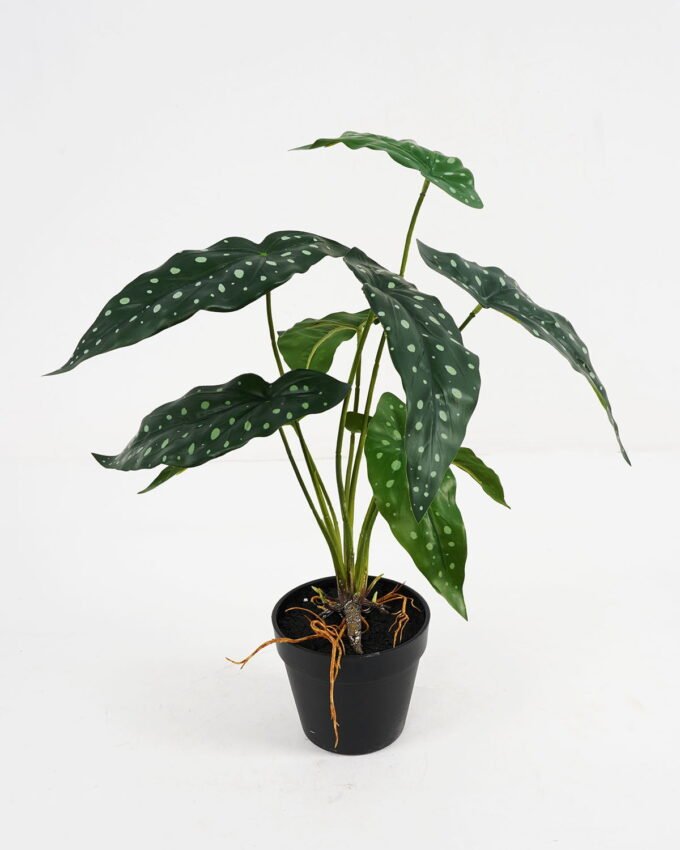 Artificial Plant 37*37*39cm Begonia in pe pot /9lvs GS-46721006 Potted Flowers&Plants YeahFlower is one of Chinese leading OEM manufacturers and exporters , supplying the silk flowers, wholesale artificial trees