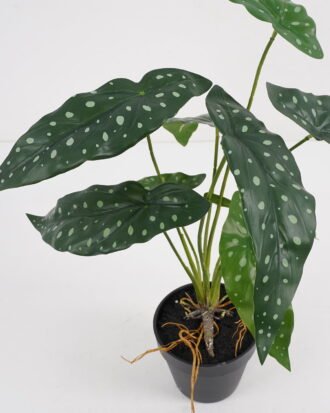 Artificial Plant 37*37*39cm Begonia in pe pot /9lvs GS-46721006 Potted Flowers&Plants YeahFlower is one of Chinese leading OEM manufacturers and exporters , supplying the silk flowers, wholesale artificial trees