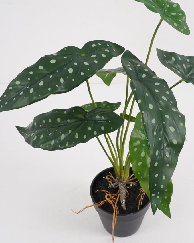 Artificial Plant 37*37*39cm Begonia in pe pot /9lvs GS-46721006 Potted Flowers&Plants YeahFlower is one of Chinese leading OEM manufacturers and exporters , supplying the silk flowers, wholesale artificial trees