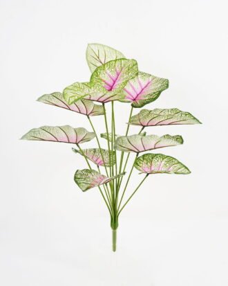 Artificial Plant 60*60cm Caladium bicolor Bush*12 GS-66421008 Leaves&Sprays&Foliages YeahFlower is one of Chinese leading OEM manufacturers and exporters , supplying the silk flowers, wholesale artificial trees
