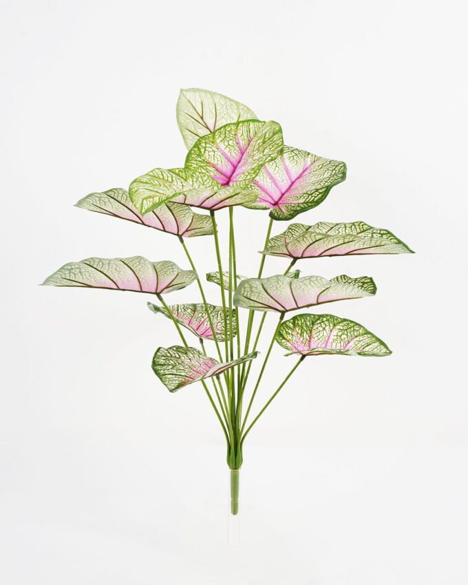 Artificial Plant 60*60cm Caladium bicolor Bush*12 GS-66421008 Leaves&Sprays&Foliages YeahFlower is one of Chinese leading OEM manufacturers and exporters , supplying the silk flowers, wholesale artificial trees